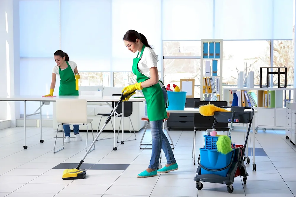 Clean House cleaning company