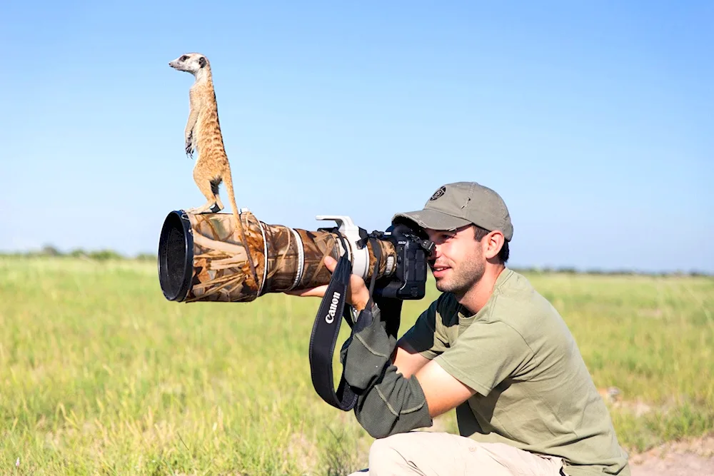 Animal photography