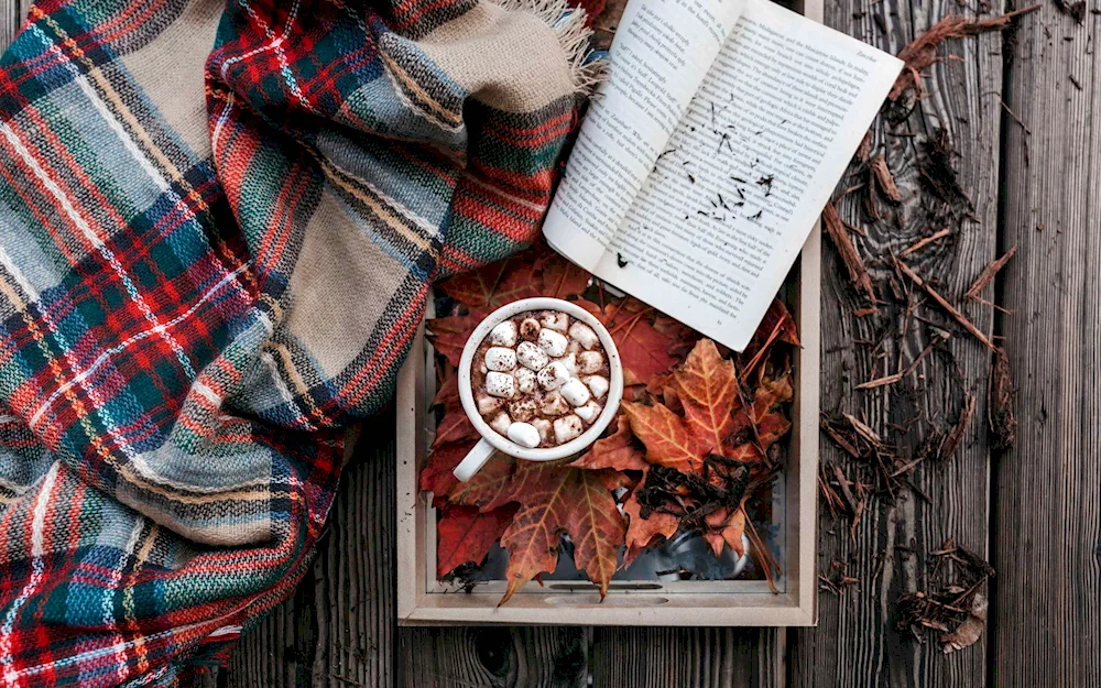 Cozy autumn