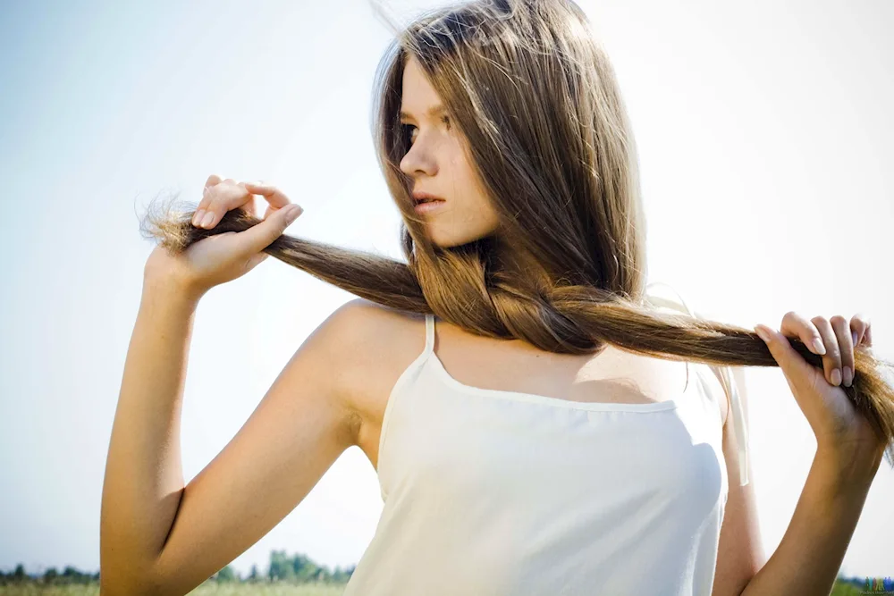 Groomed hair
