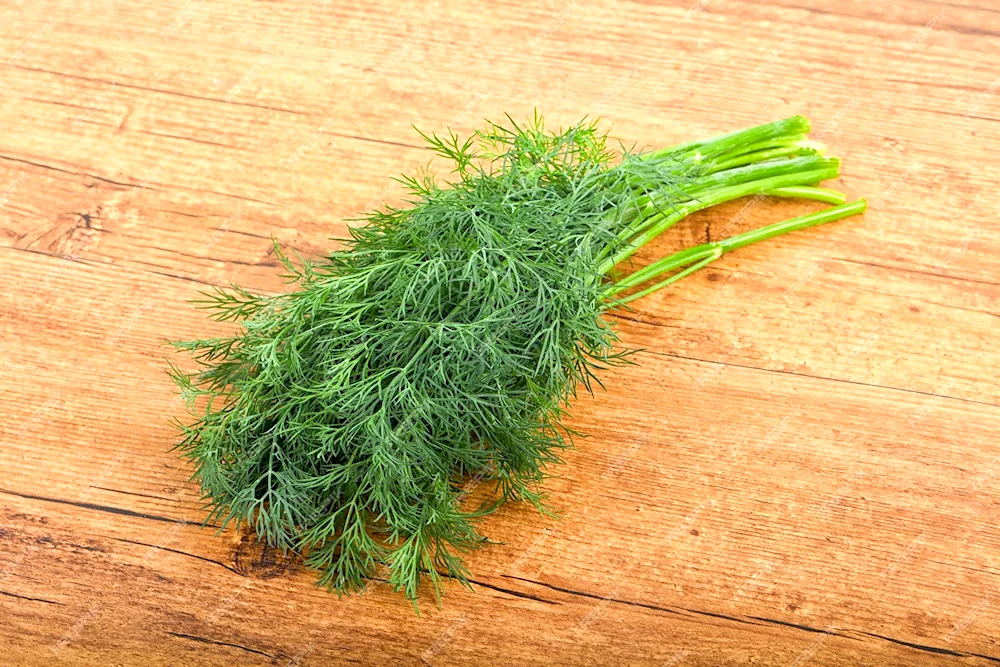 Dill