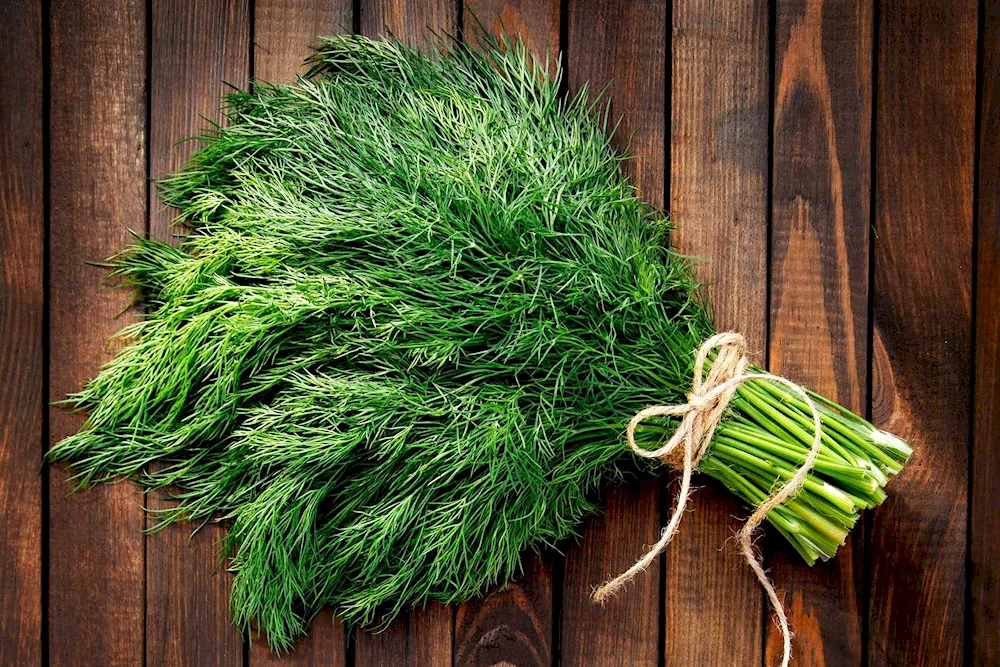Dill Emerald