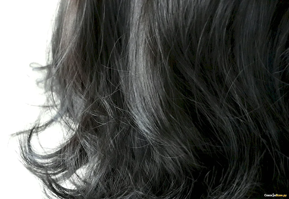 Ultrapez dark chestnut