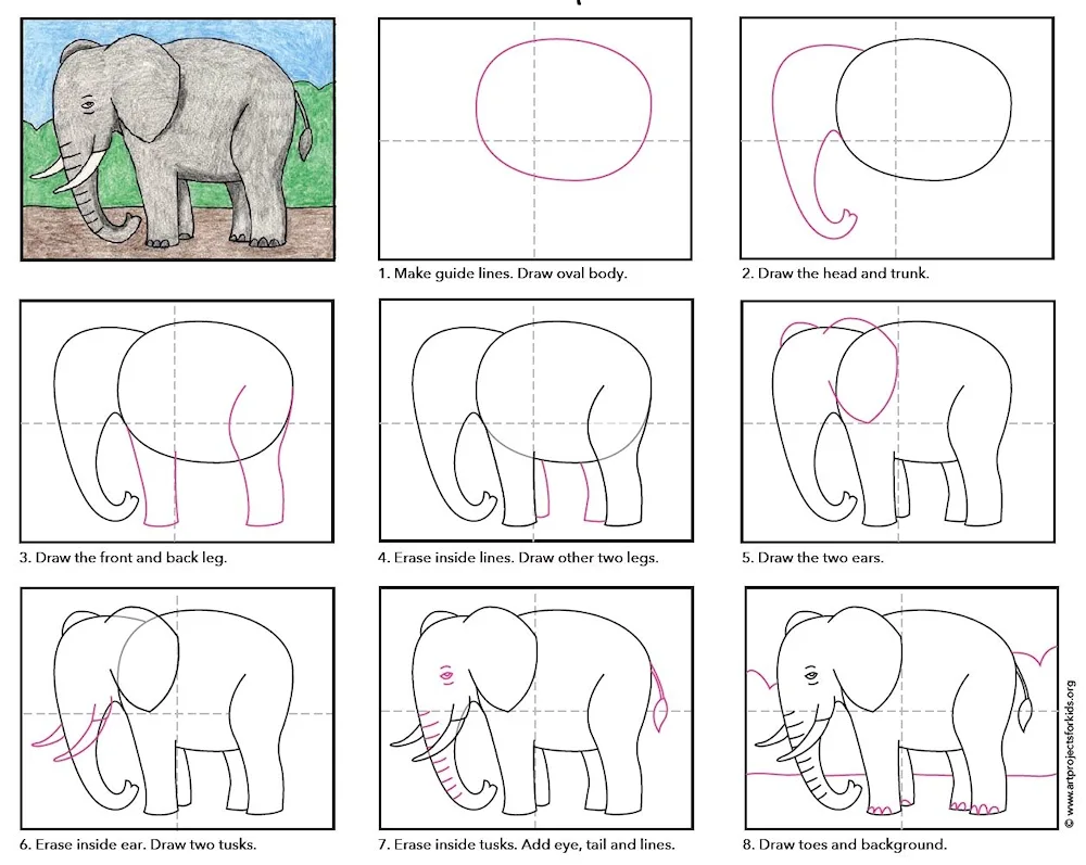 Elephant colouring