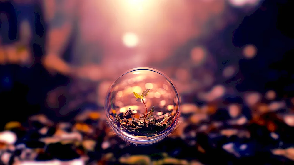 Quotes background
