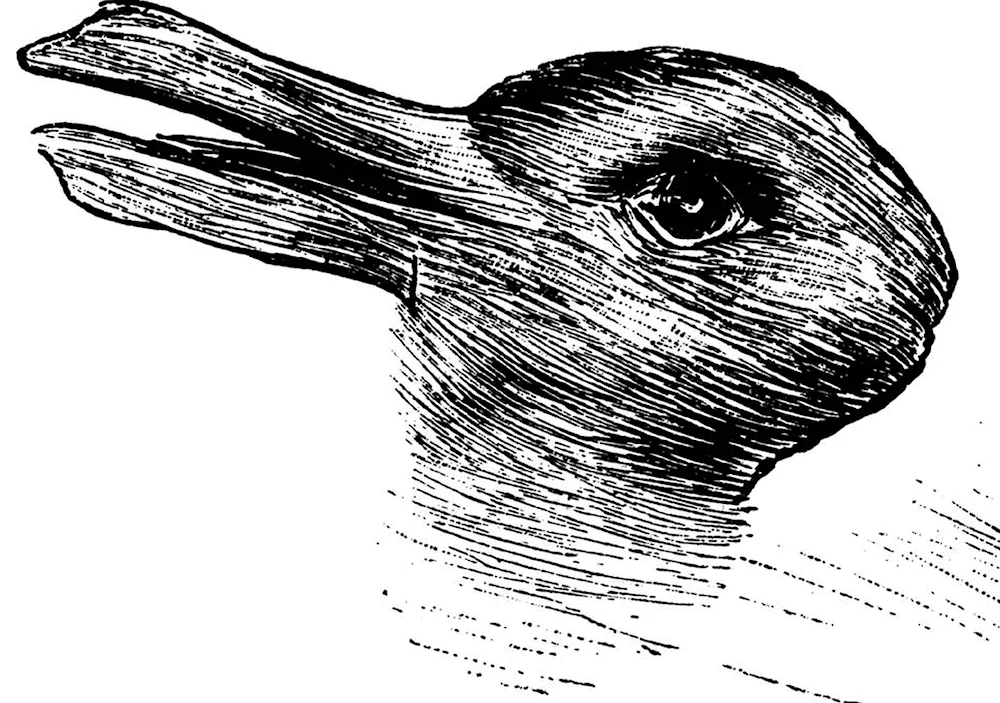 Wittgenstein's duckrabbit