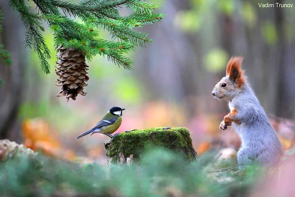 Winter landscape with animals