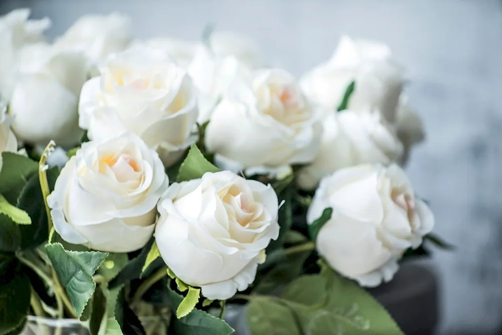 Beautiful bouquet of roses