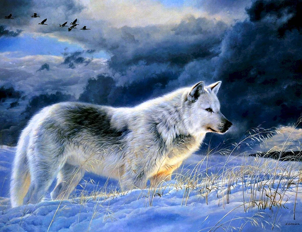 Beautiful wolf landscapes with wolves