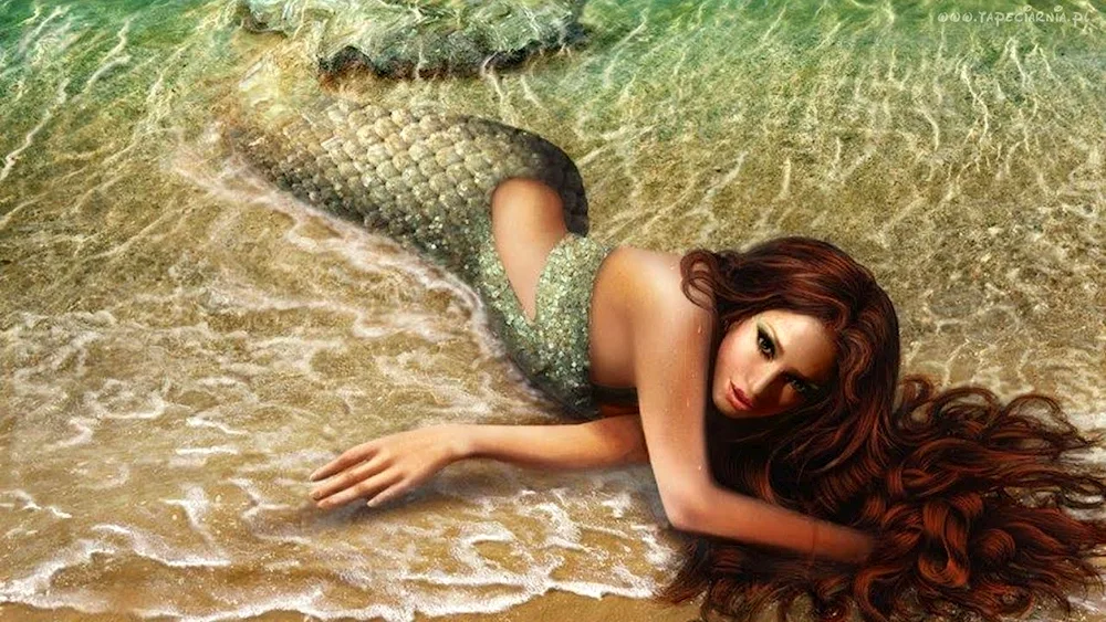 Beautiful Mermaid