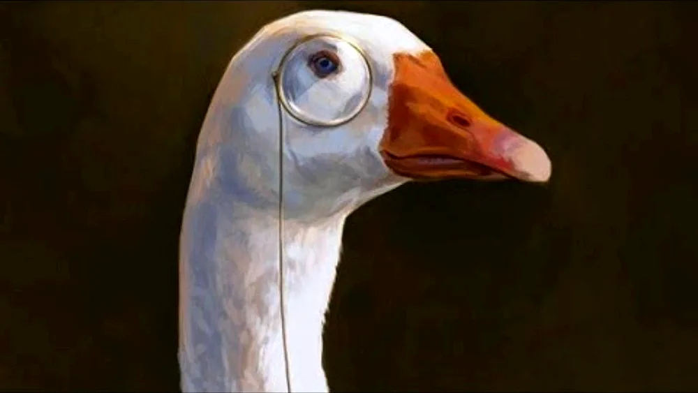 Surprised Goose