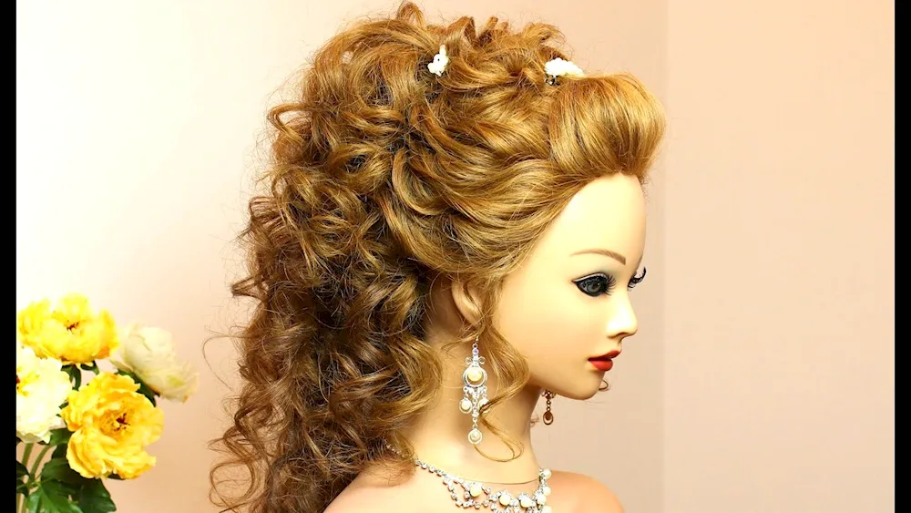 Evening hairstyles