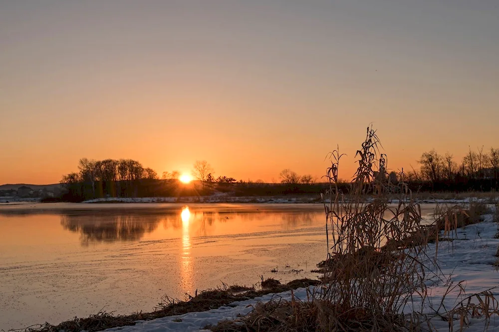 Evening landscape