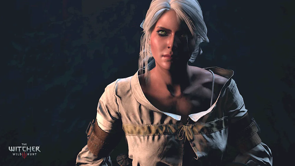 Ciri The Witcher