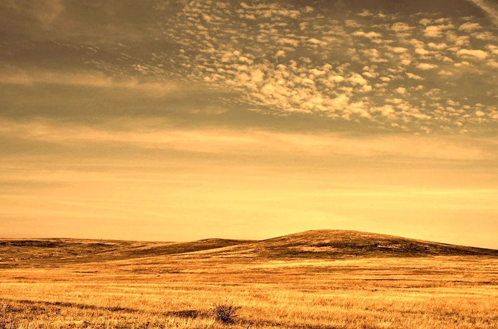 The great steppe of Kazakhstan