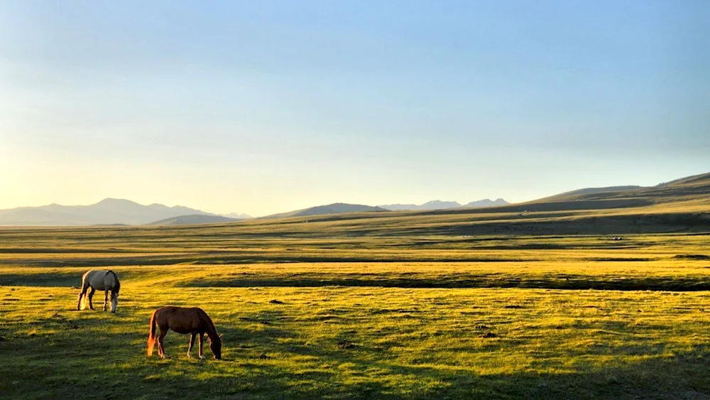 The steppes of Russia steppe of Kazakhstan