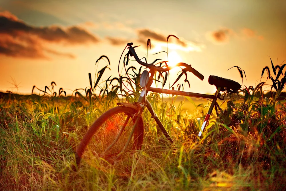 Biking outdoors