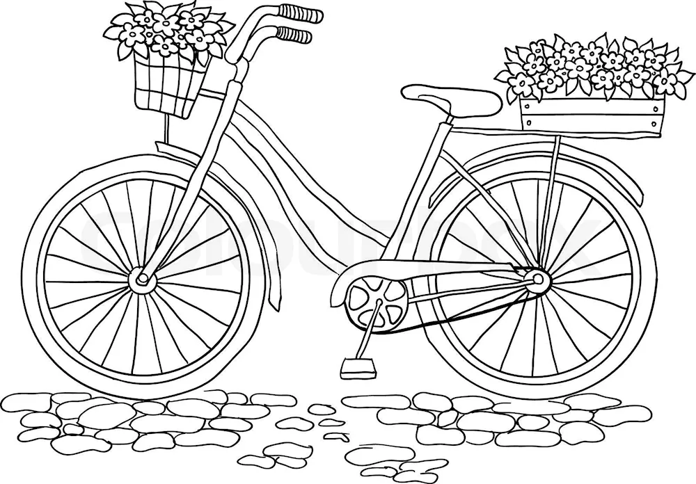 Bicycle colouring