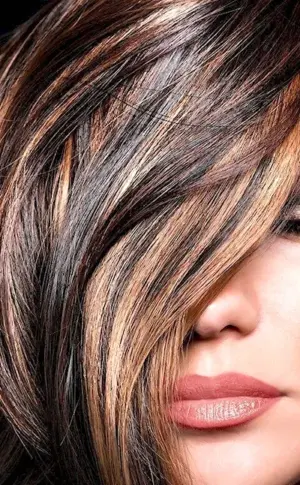 Venetian highlights