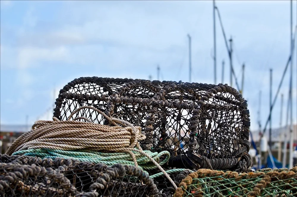 Fishing Net