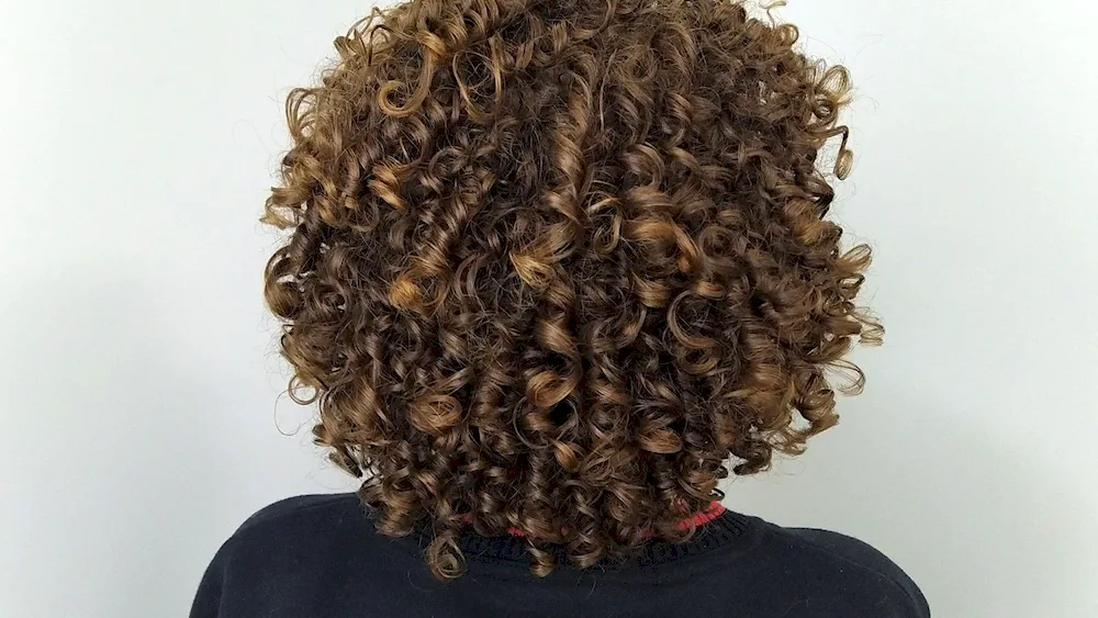 Bio curl