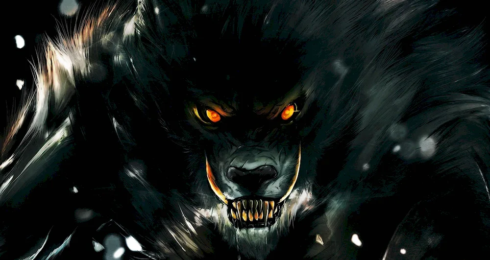 Wolf wallpaper