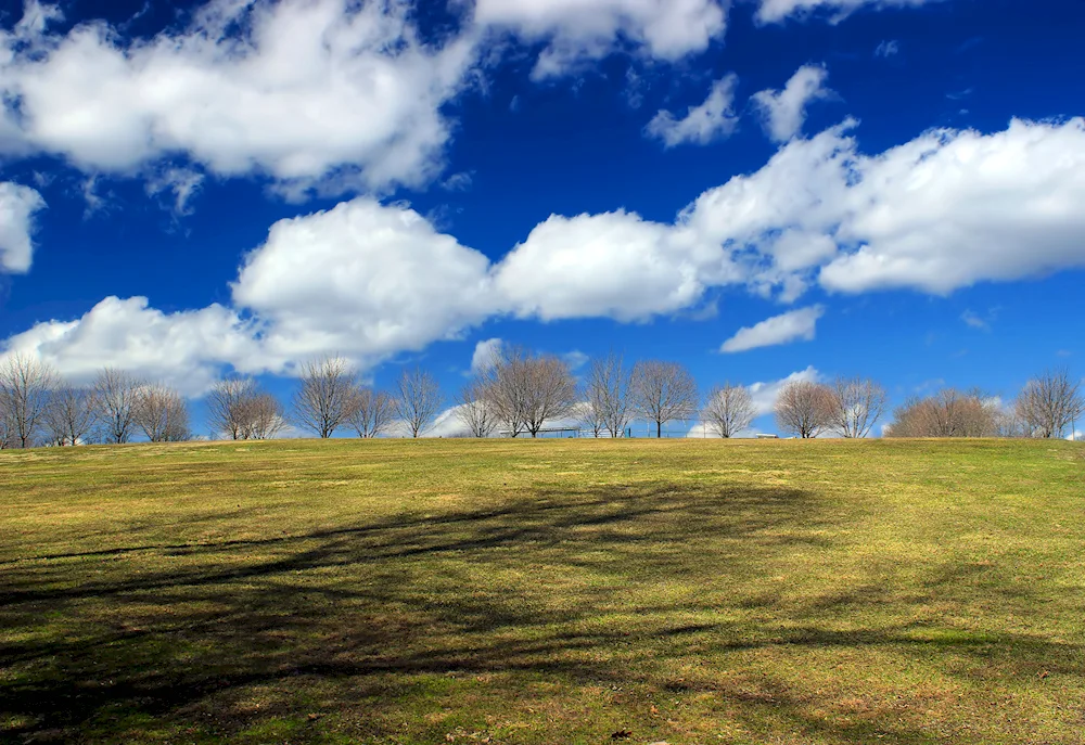 Spring sky