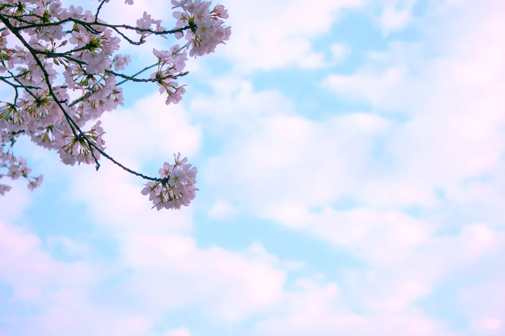 Spring sky