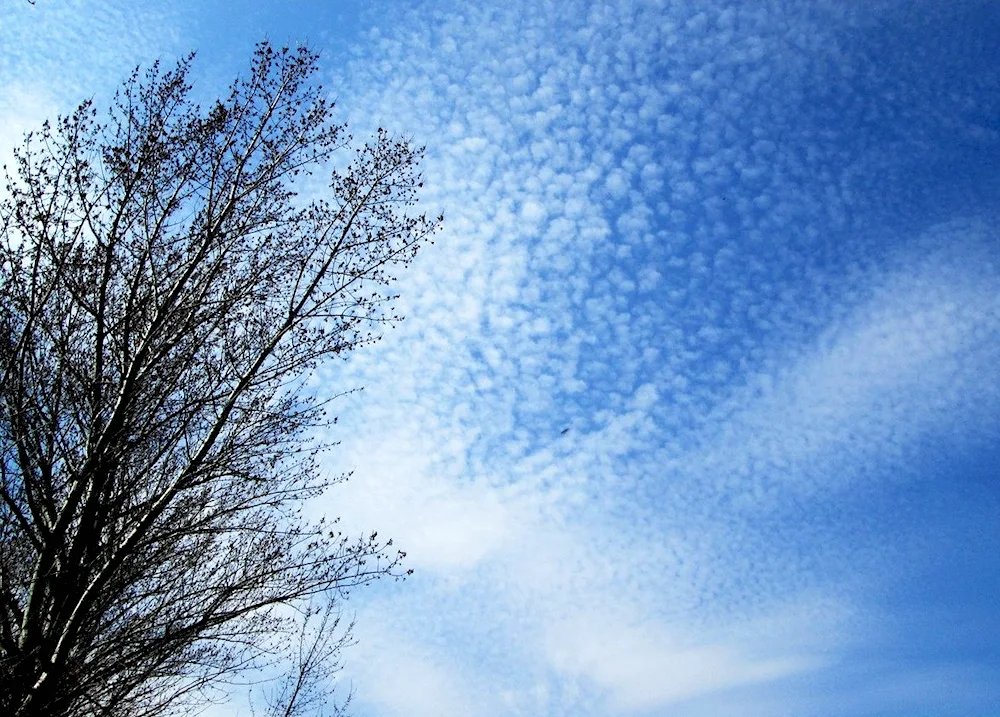 Spring sky