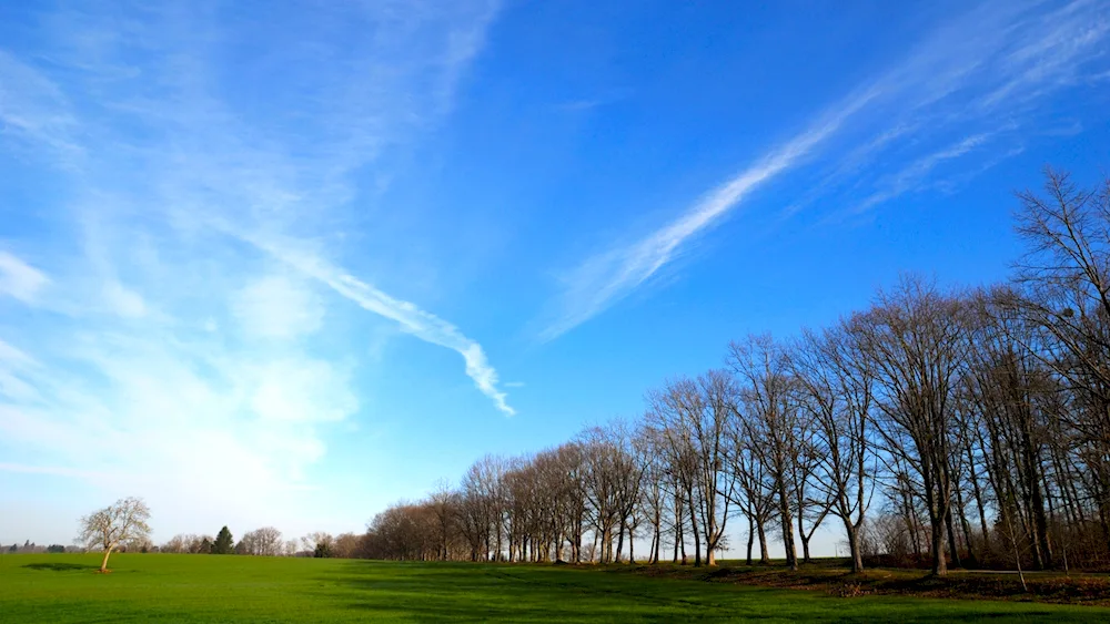 Spring sky