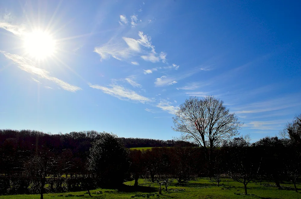 Spring sky