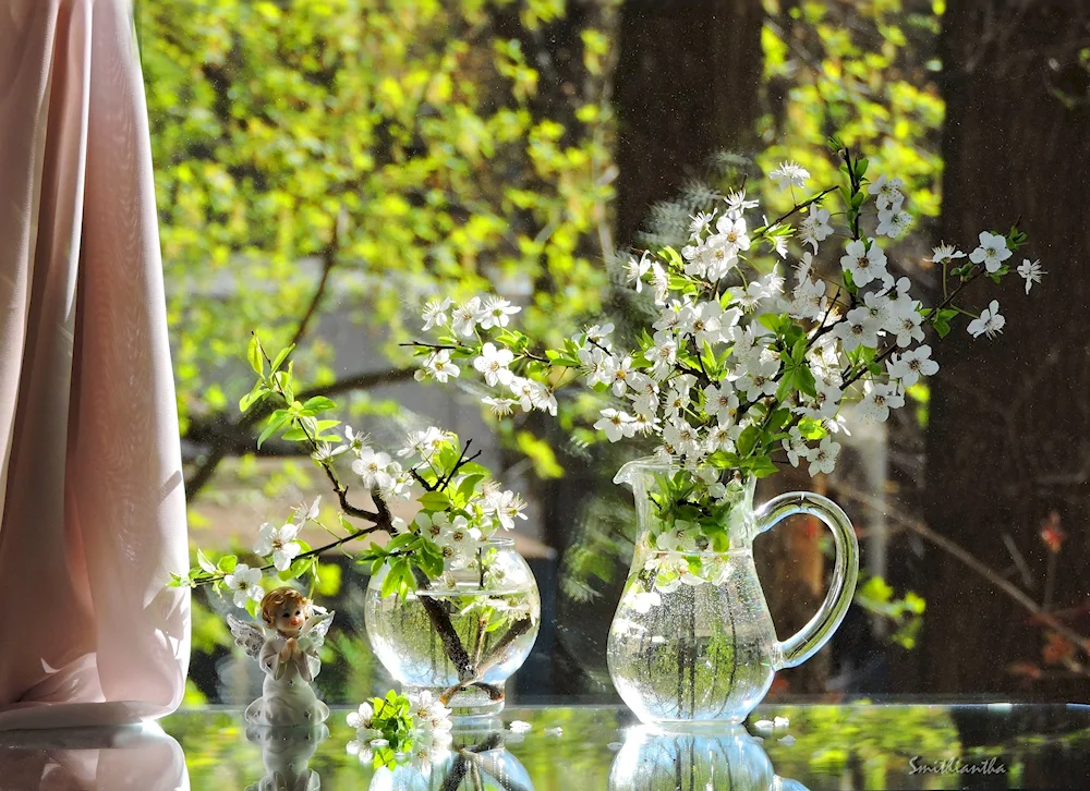 Spring morning tea on the table