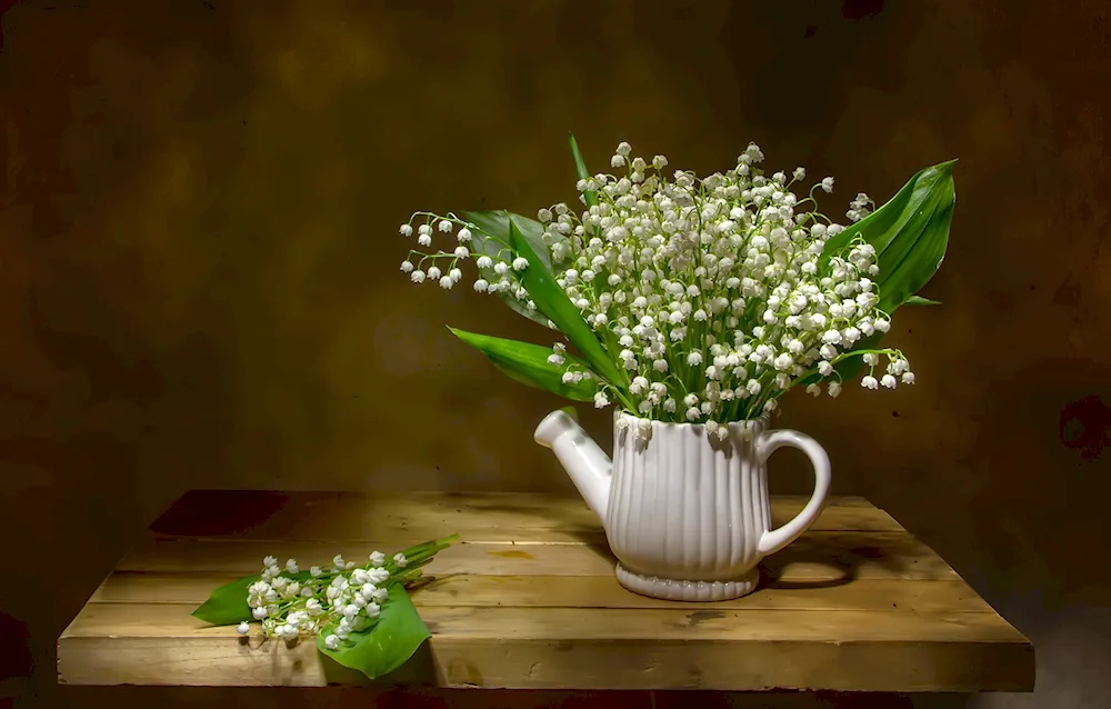 Lily of the valley