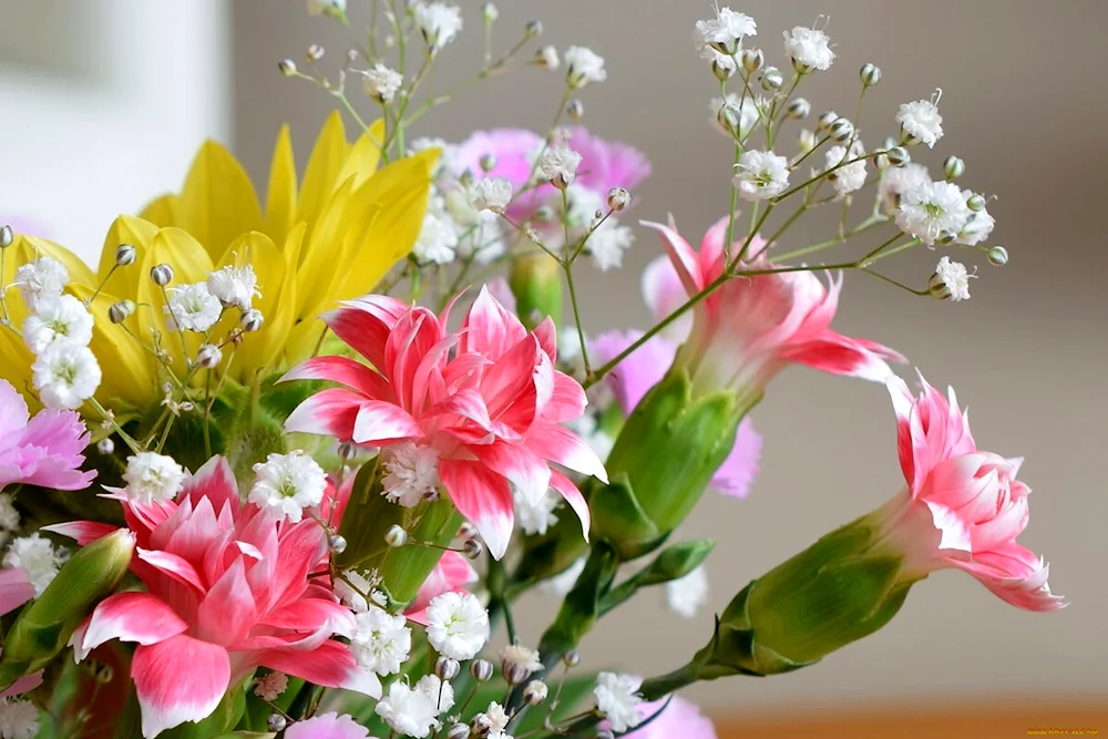 Tulip flowers bouquet