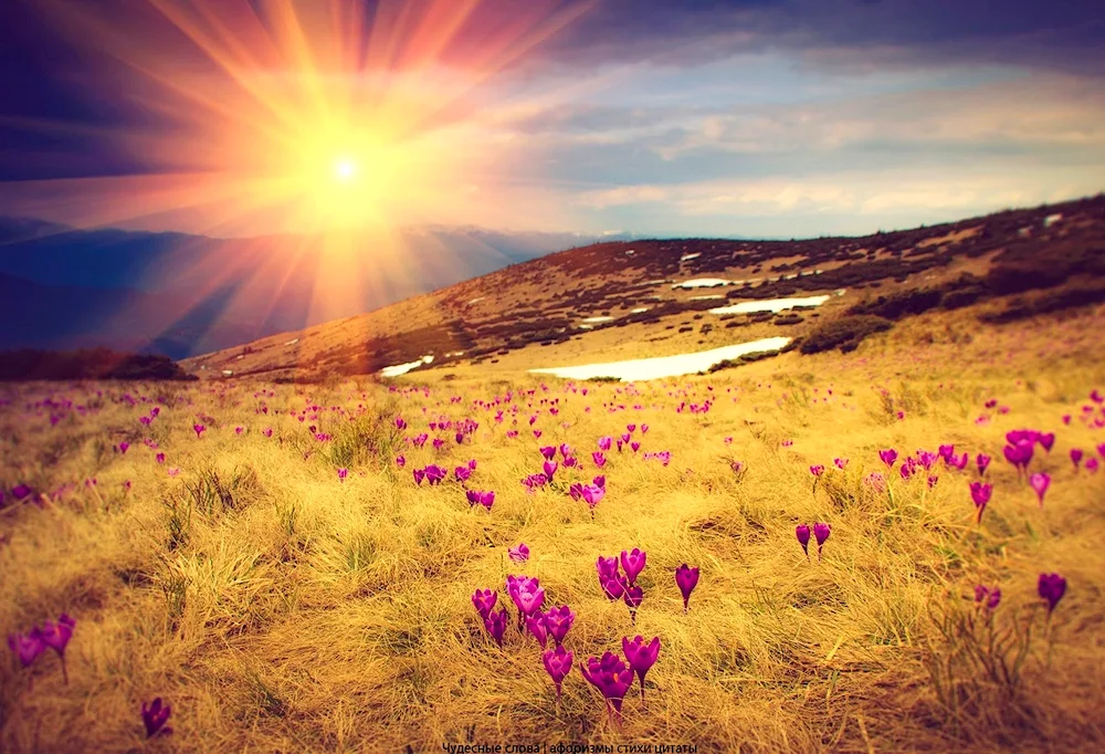 Spring sunrise