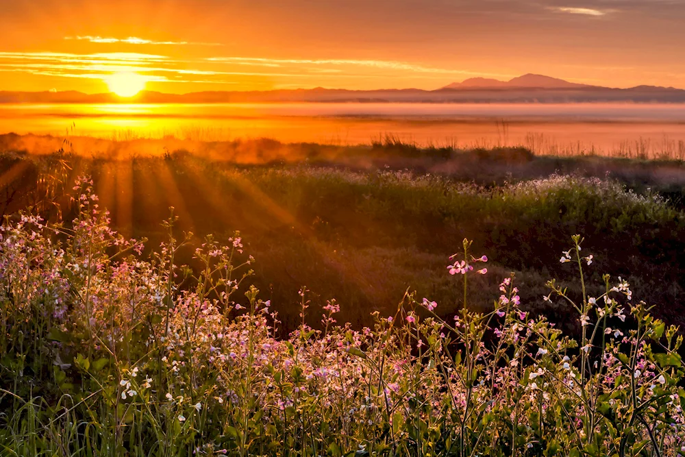 Spring sunrise