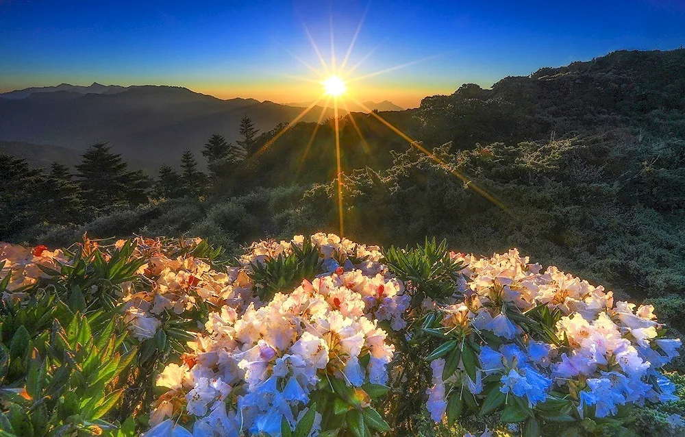 Spring sunrise