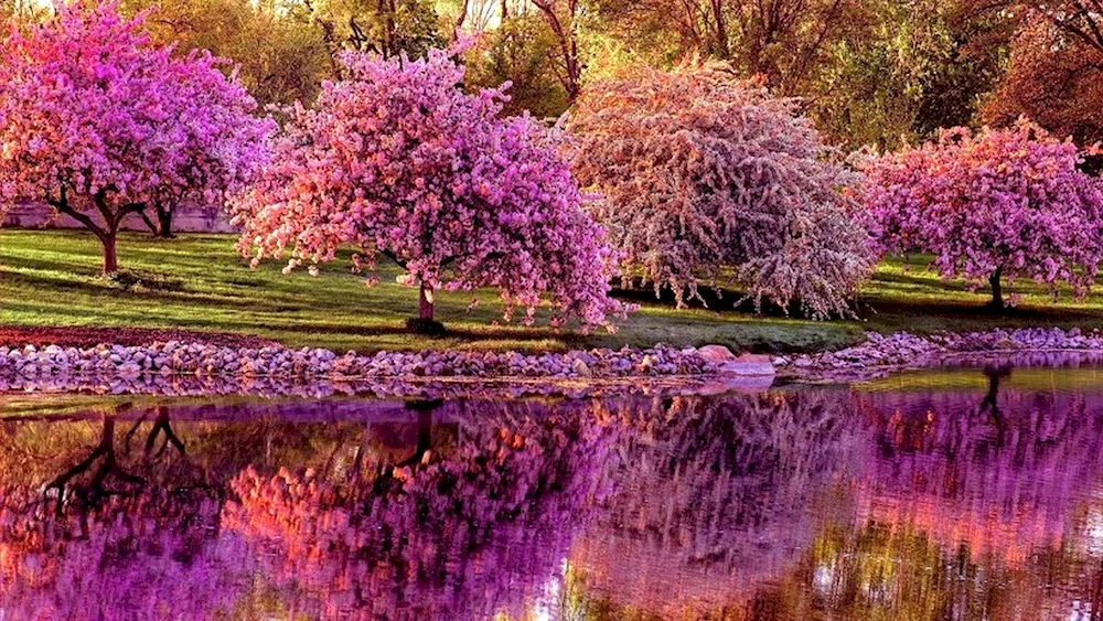 Spring Topiary Garden