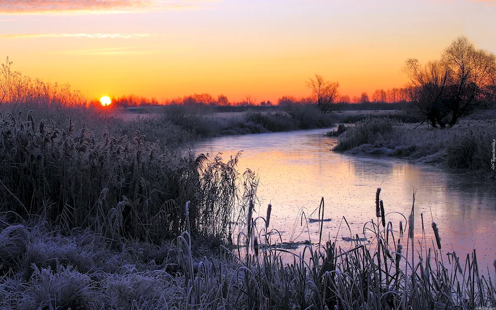 Spring sunset