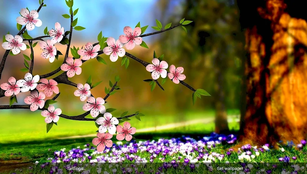 Spring flowers on a dark background