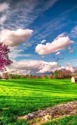 Spring nature