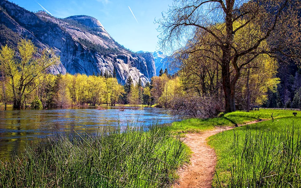 Spring nature