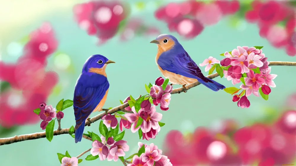 Spring birds