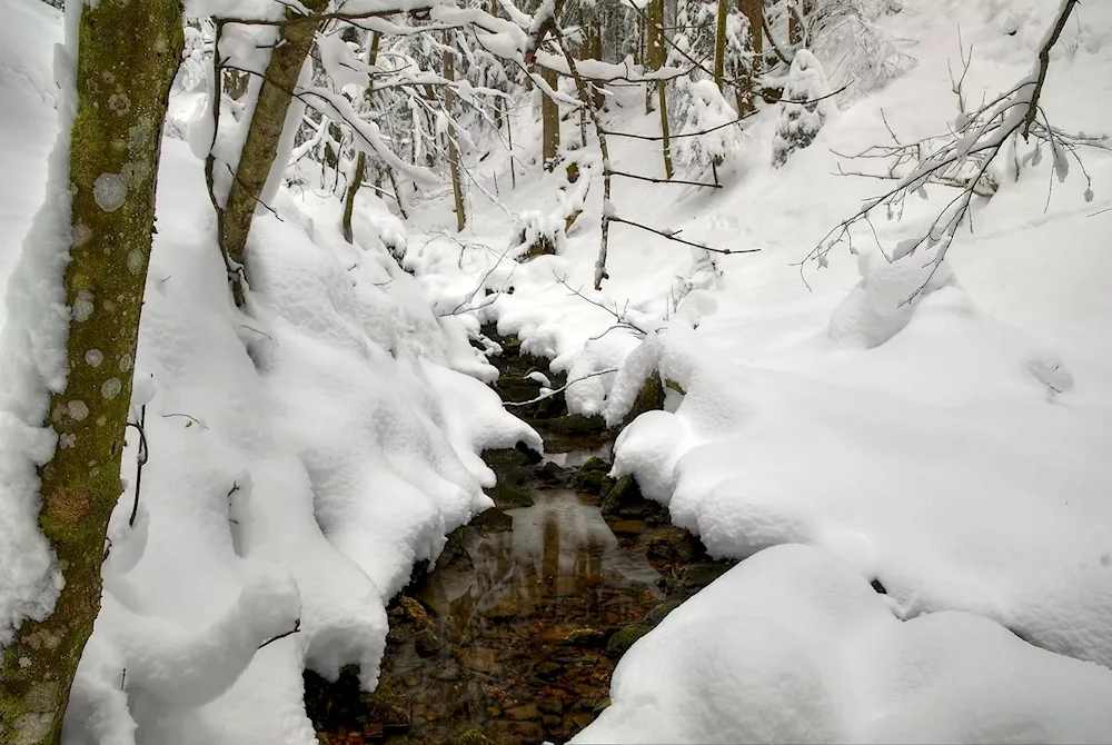 Emma McKay winter lake