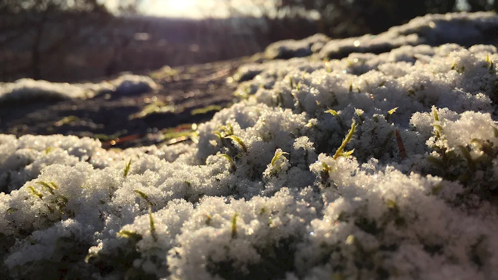 Spring snow