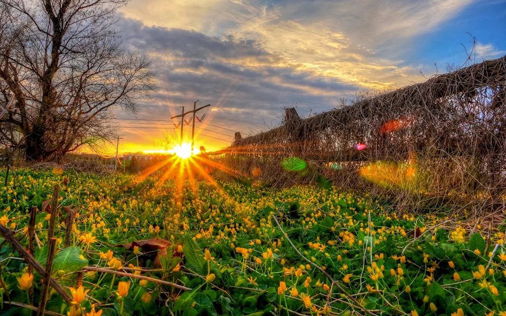 Spring sunrise