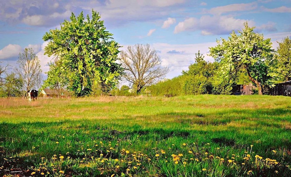 Spring in the village