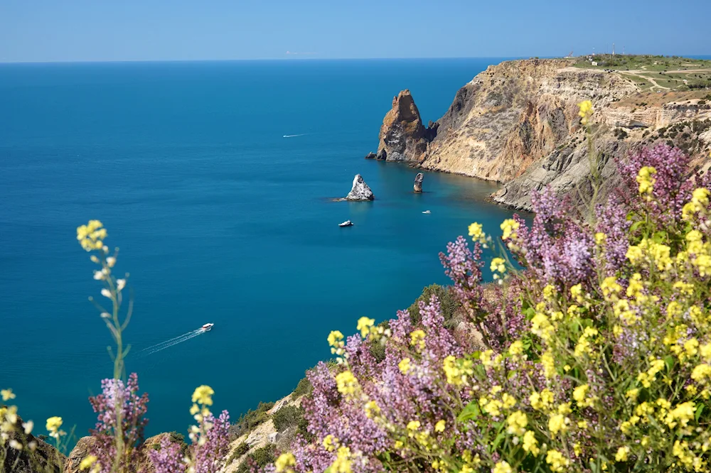 Spring in the Crimea