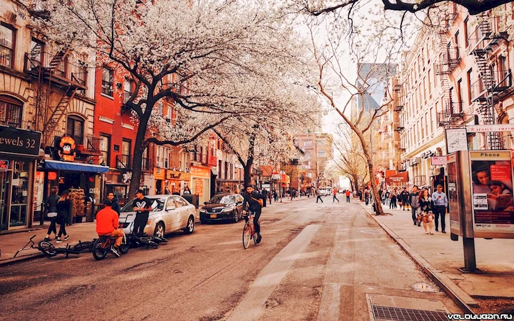 West Village New York