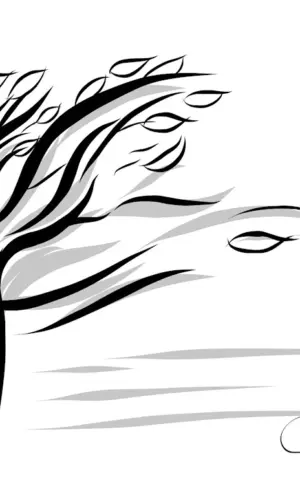 Wind stylisation